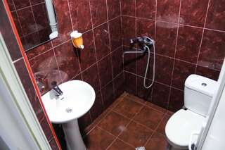 Отель hotel venus Тбилиси Двухместный номер с 1 кроватью-1