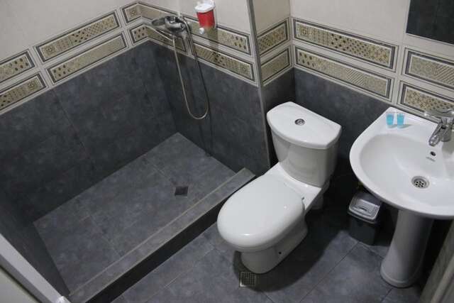 Отель hotel venus Тбилиси-25